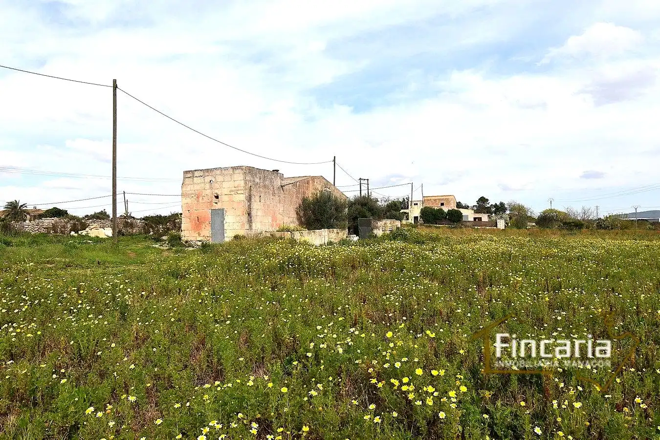 Finca rústica en venta en Manacor