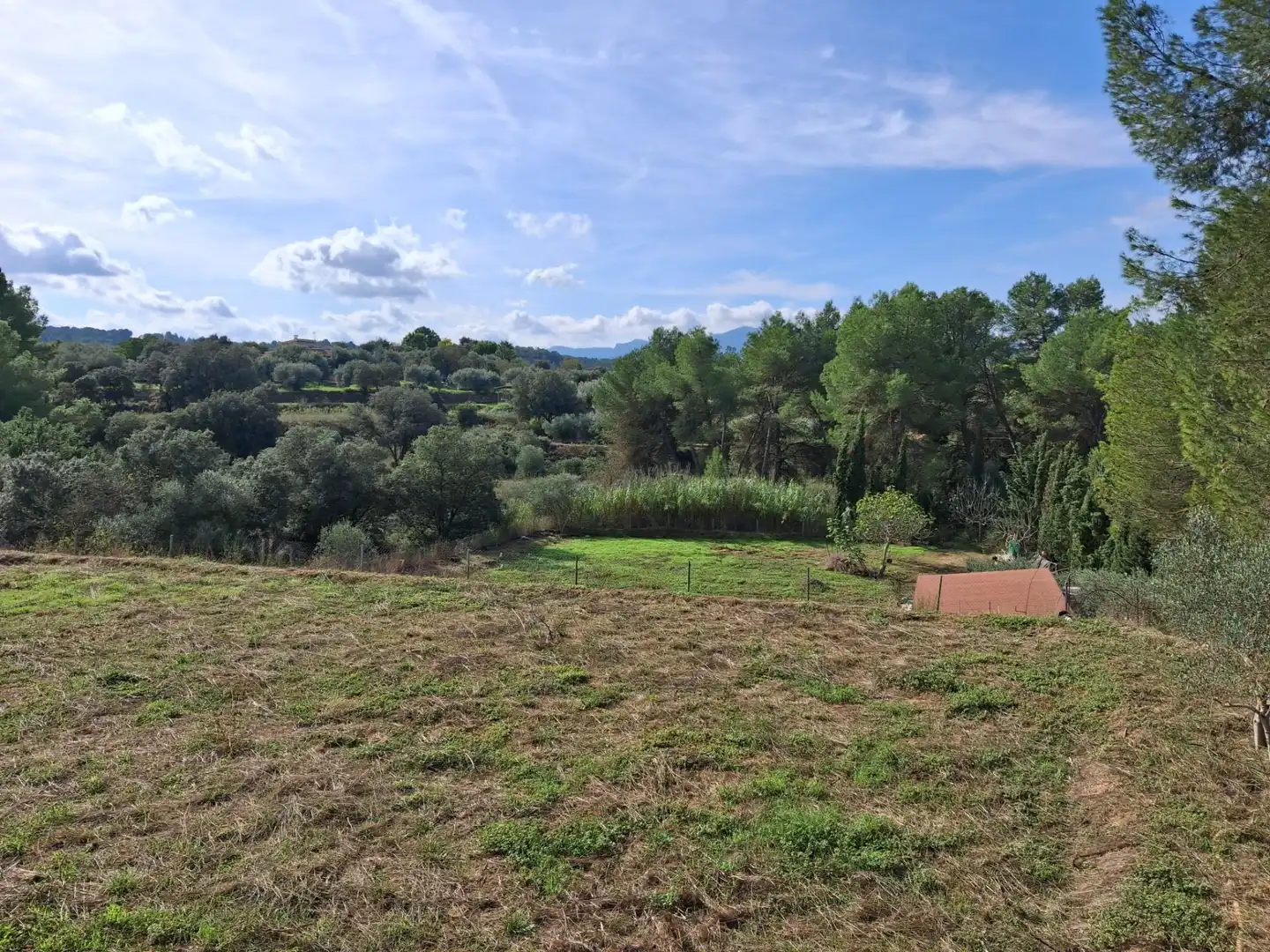 Terrain rustique à vendre à Ginestar, imagen 72