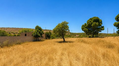 Magnifica finca rústica de 1.300 metros en El Arroyo de Padul, immagine 4