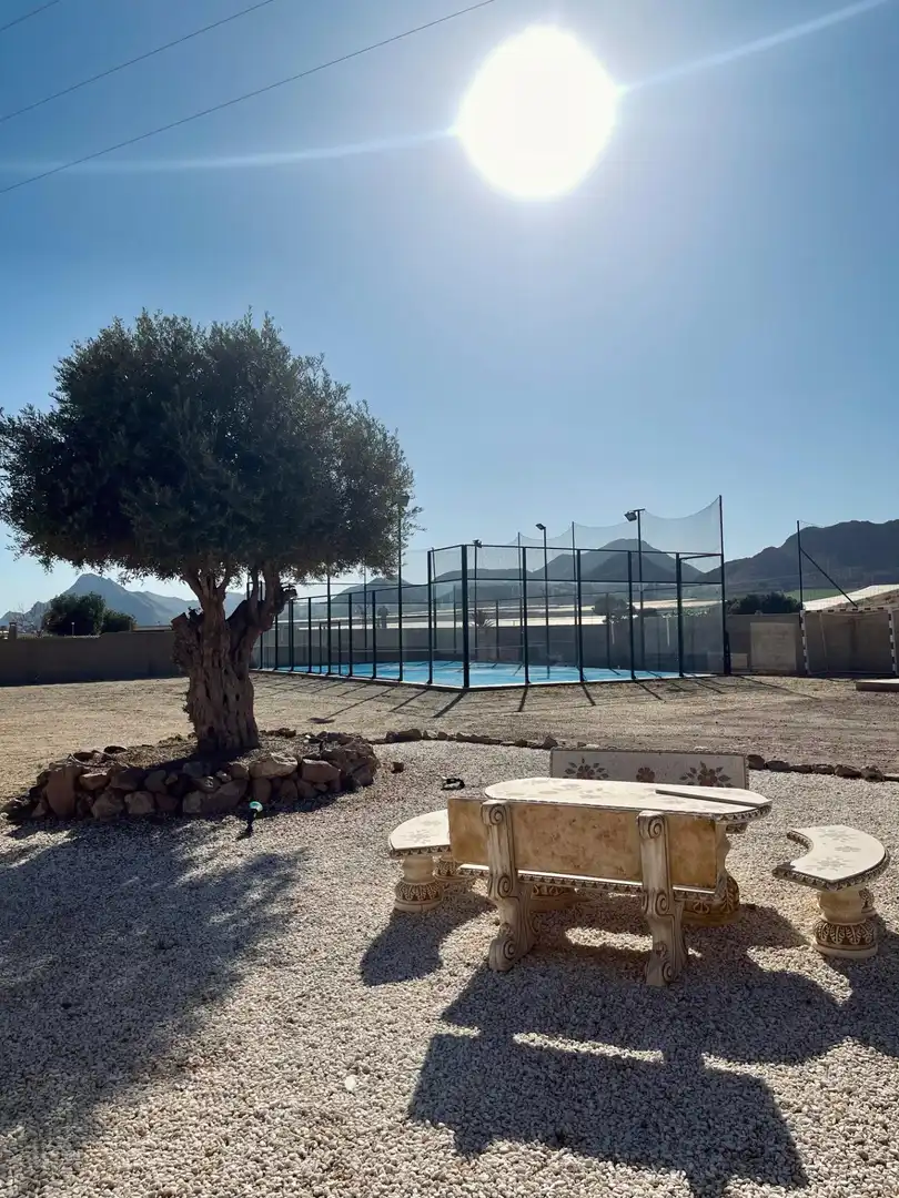 Haus mit Pool zum Verkauf in Tébar - Los Arejos, imagen 13