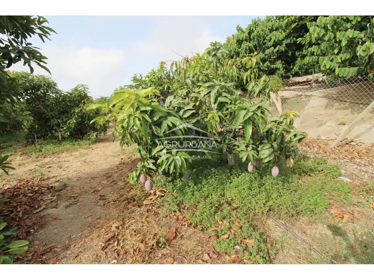 Country house with pool for sale in Poligono 29, imagen 26