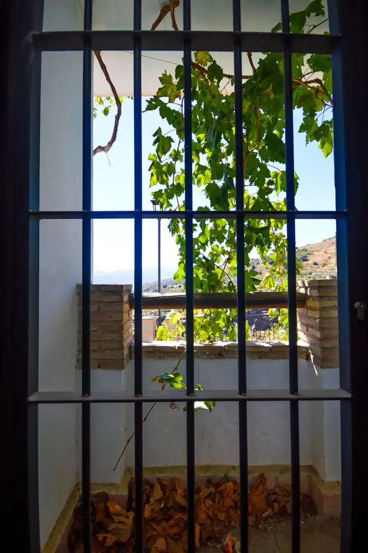 Ground floor with terrace for sale in MEZQUITA LA 3, imagen 3