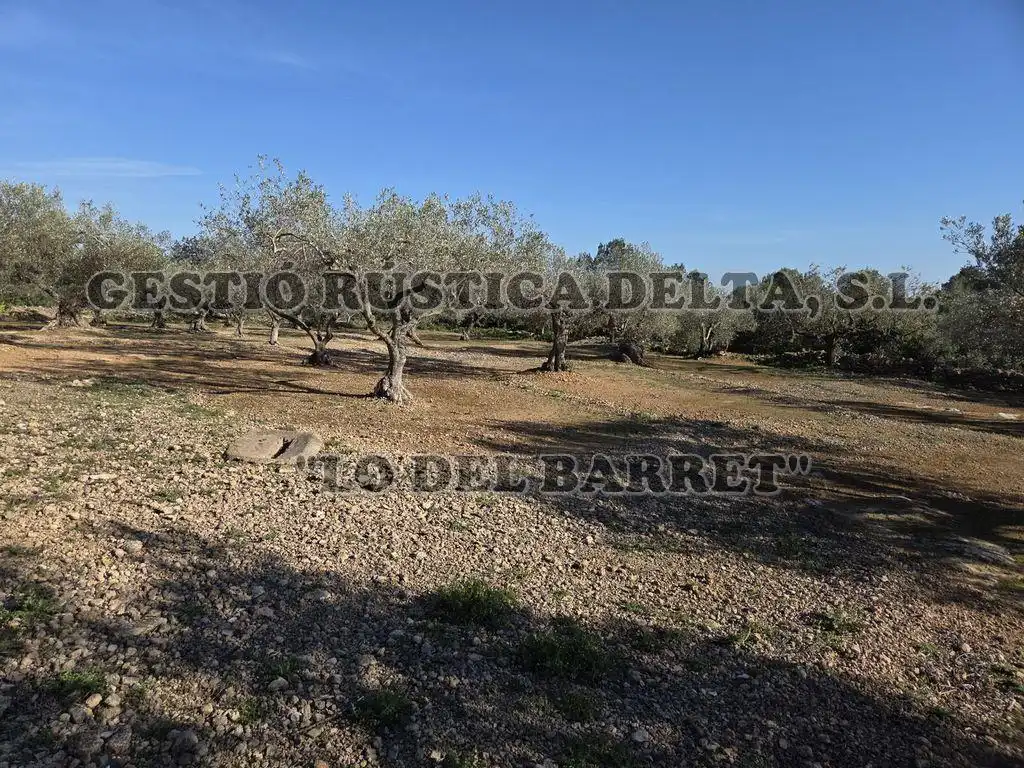 Finca rústica en venda en L'Ampolla amb Terrassa