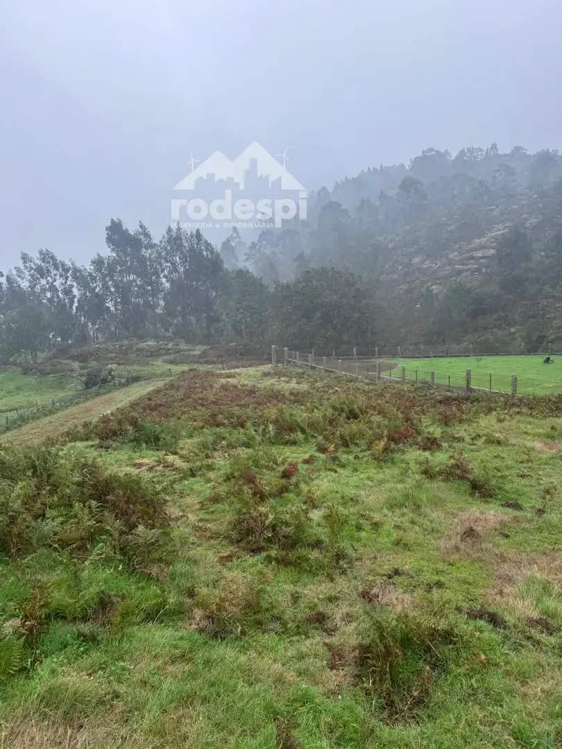 Detached homes for sale in O Porriño  