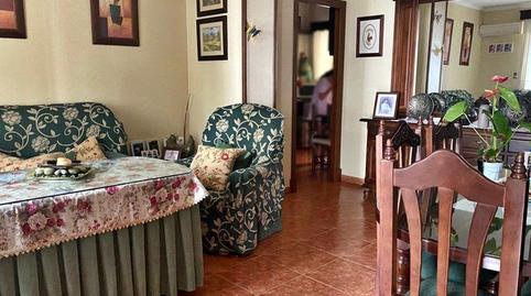 Foto 3 de Casa o chalet en venta en Prado del Rey, Cádiz