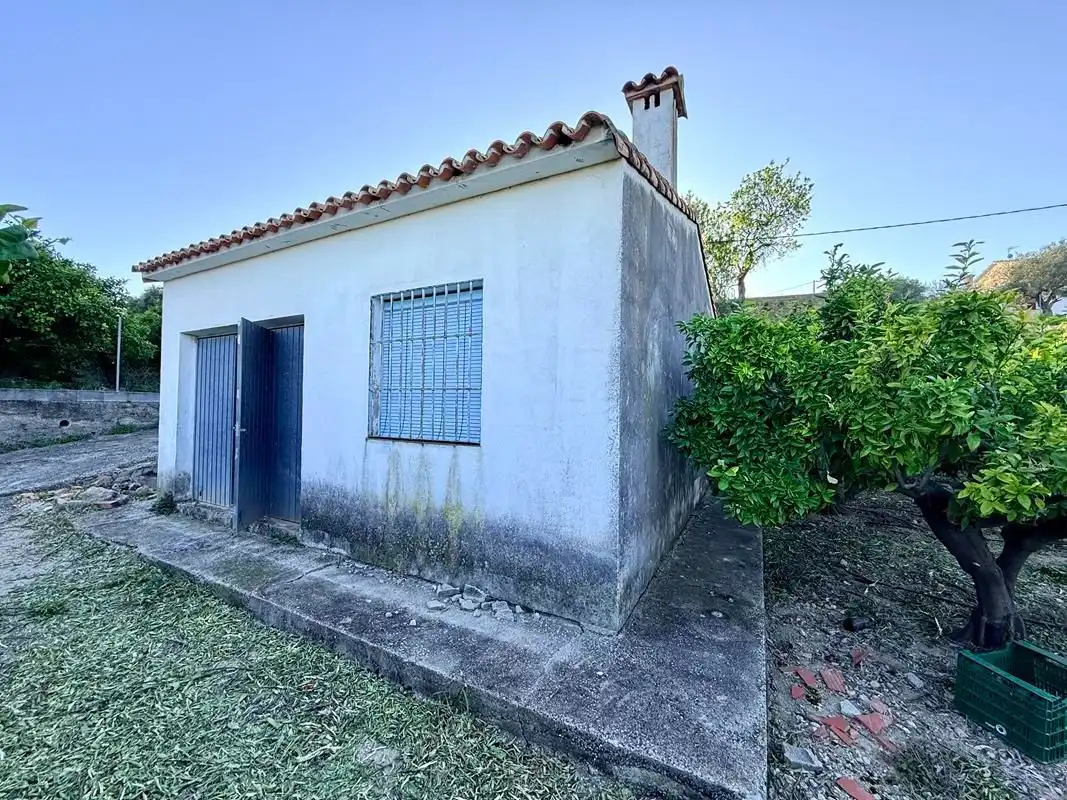 Vista exterior de Finca rústica en venda en Sanet y Negrals amb Calefacció i Jardí privat