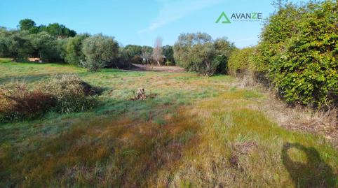 Foto 5 de Finca rústica en venta en Sur, Badajoz