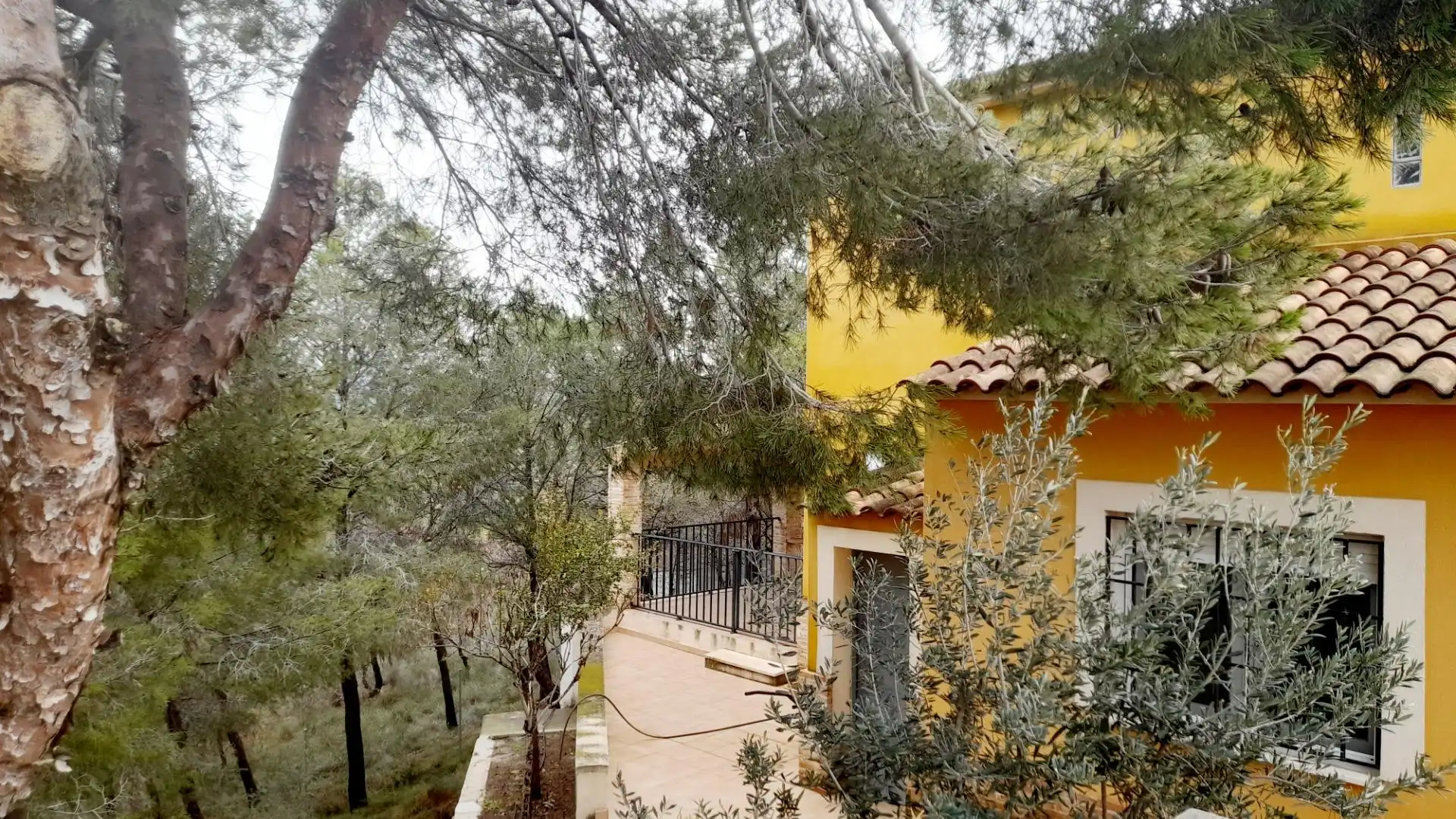 Vista exterior de Finca rústica en venta en  Murcia Capital con Jardín privado, Terraza y Piscina