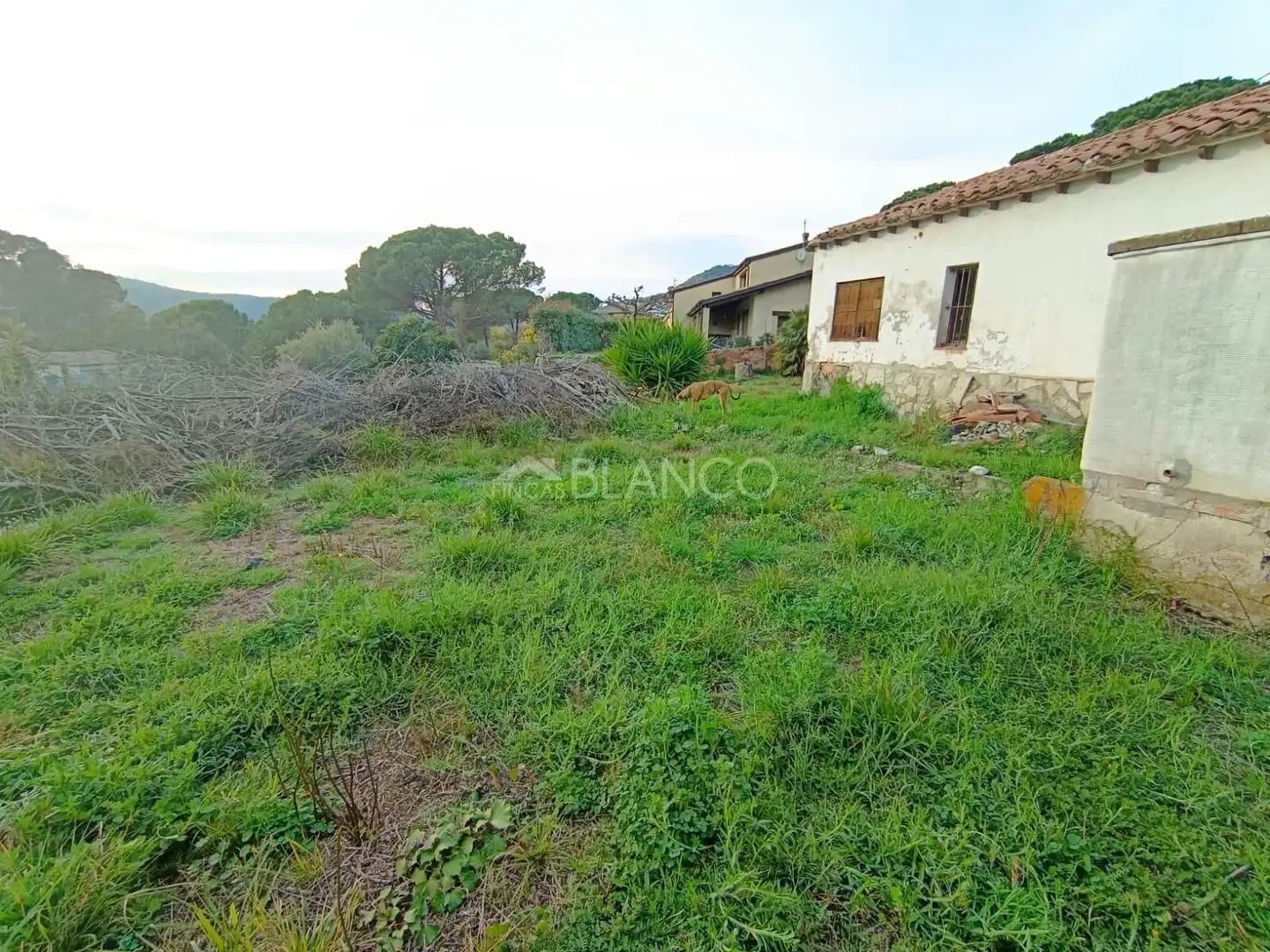 Residential land for sale in Vallbona d'Anoia