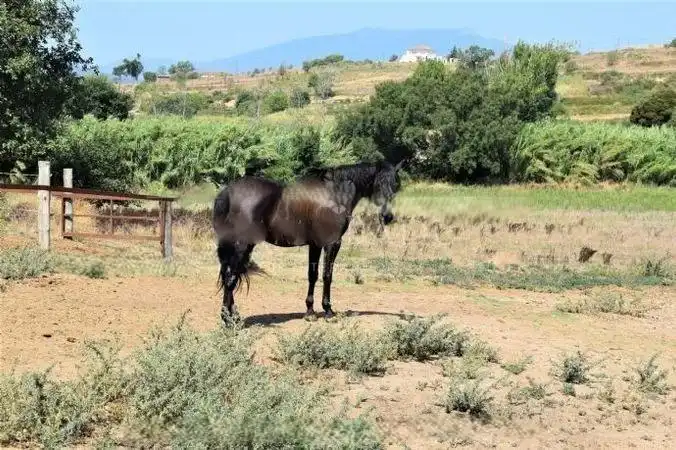 Terrenos y solares en venta en Mas Mora - Sant Daniel, imagen 50