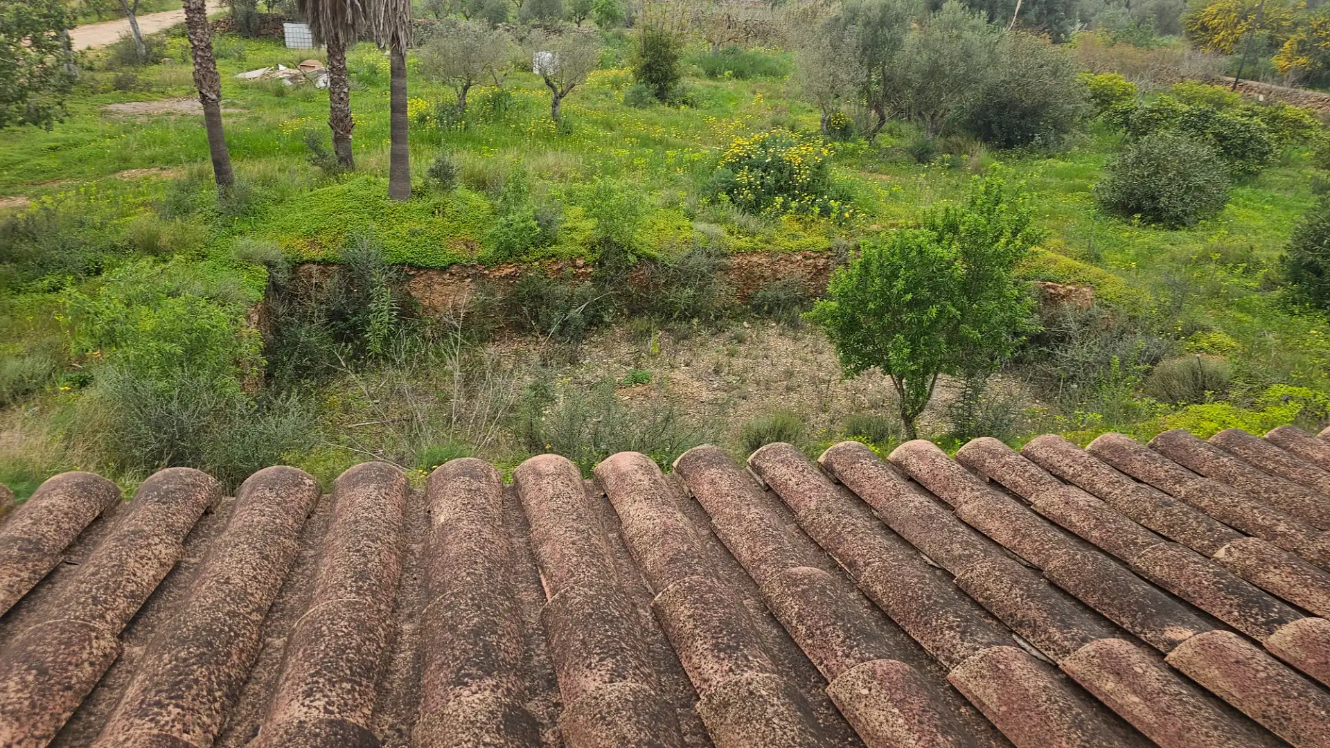 Jardín de Finca rústica en venta en Marratxí con Aire acondicionado, Calefacción y Jardín privado