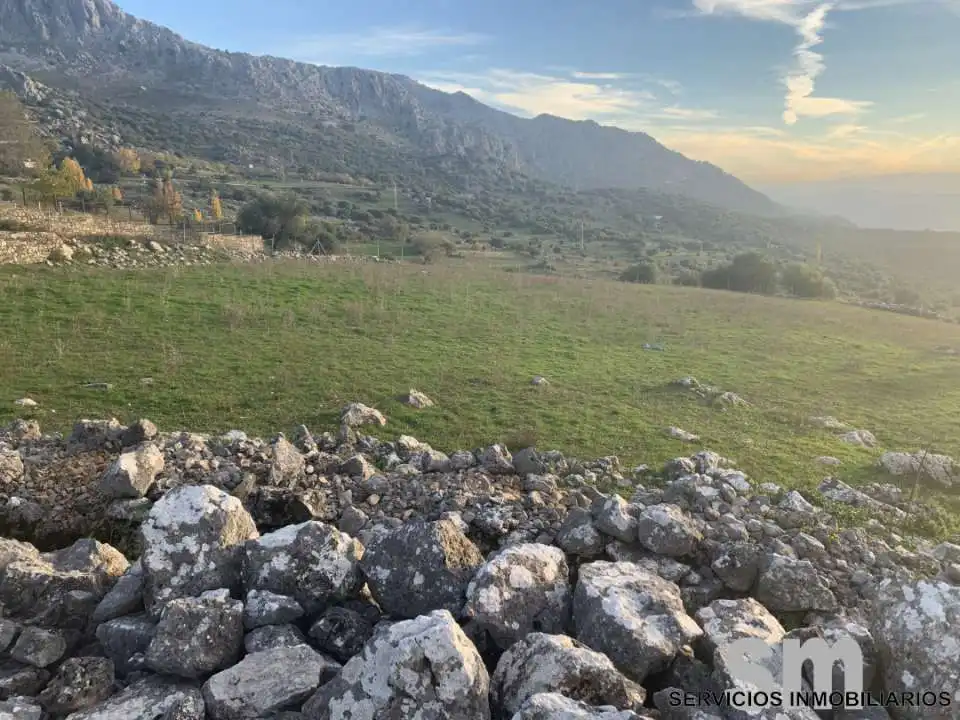 Terrain rustique à vendre à Benaocaz, imagen 17