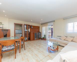 Living room of Flat for sale in Sant Climent de Llobregat  with Heating and Balcony