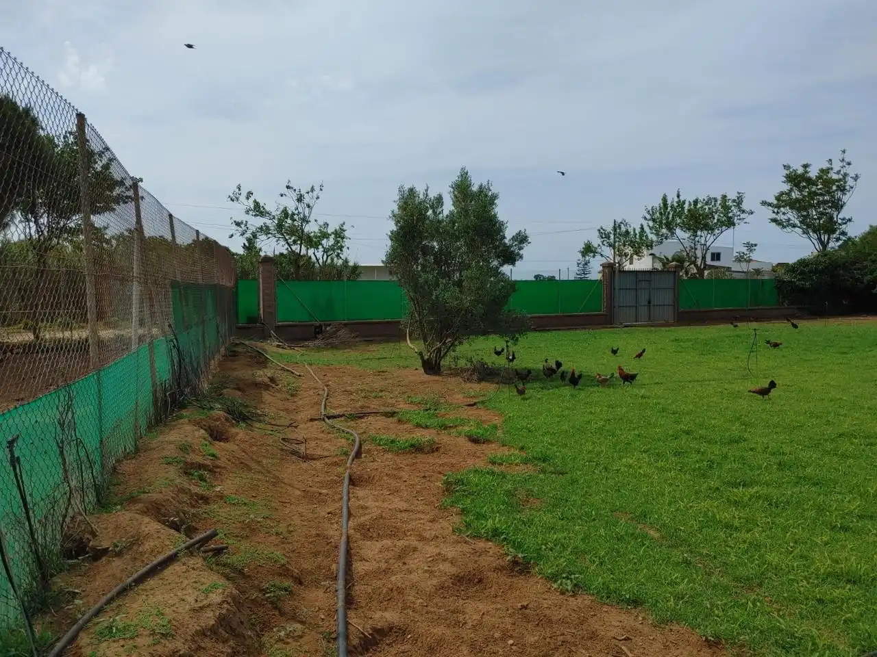 Land for sale in Chipiona