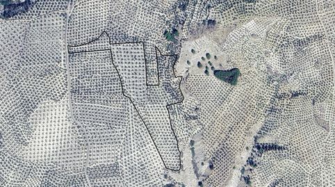 Foto 3 von Grundstücke zum Verkauf in Pj Olla del Cambron, Pegalajar, Jaén