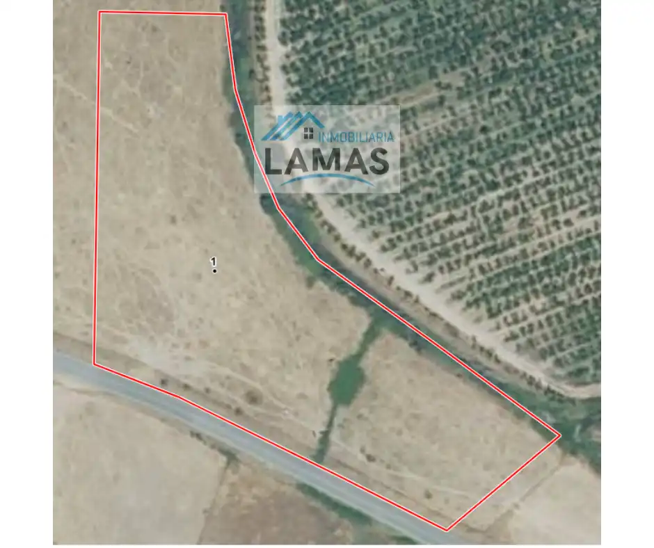 Land for sale in Belvís de Monroy