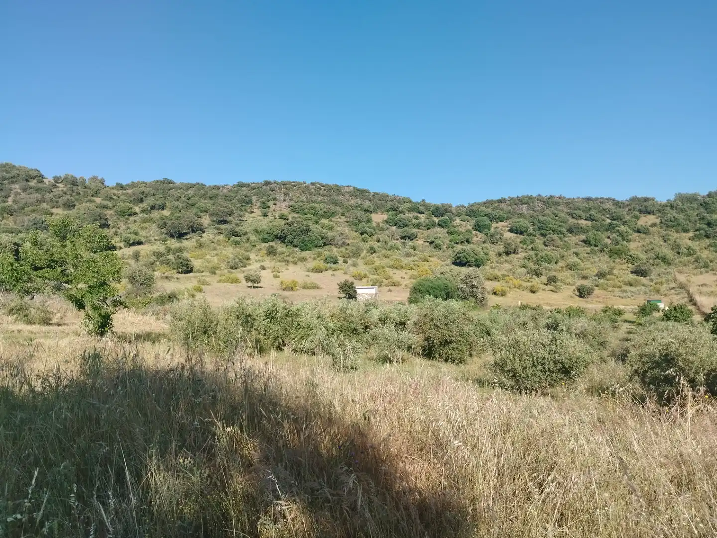Terreno rustico in vendita a Burguillos del Cerro, imagen 7