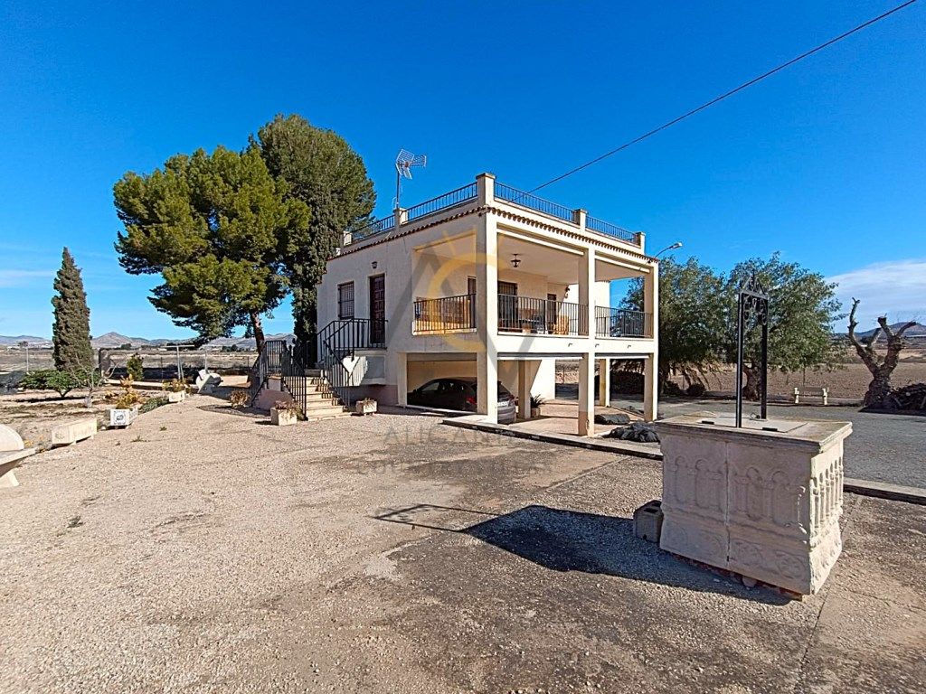 Vista exterior de Casa o xalet en venda en Aspe amb Jardí privat, Terrassa i Piscina