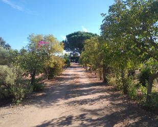 Garden of Residential for sale in Badajoz Capital