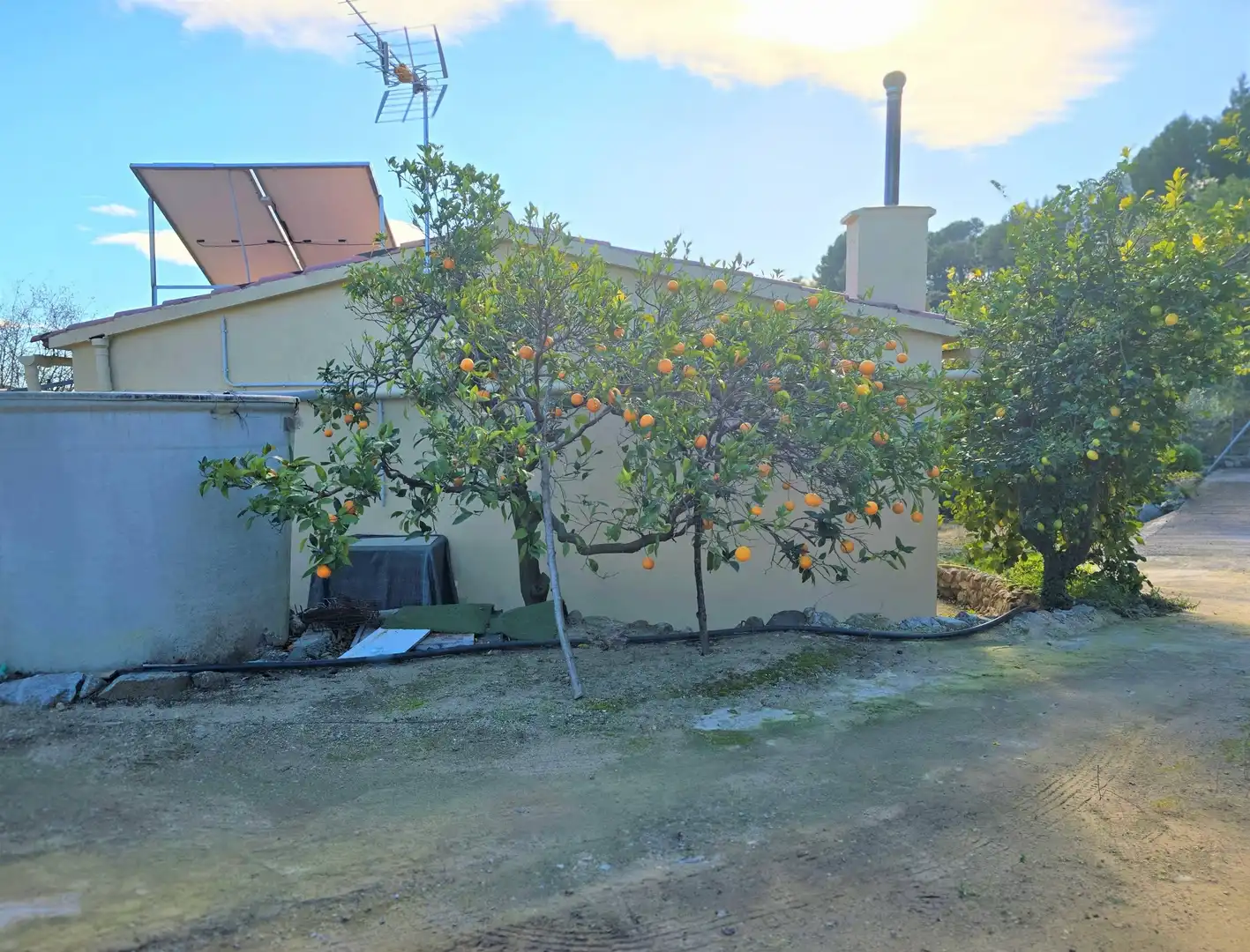 Garten von Residential zum Verkauf in L'Aleixar