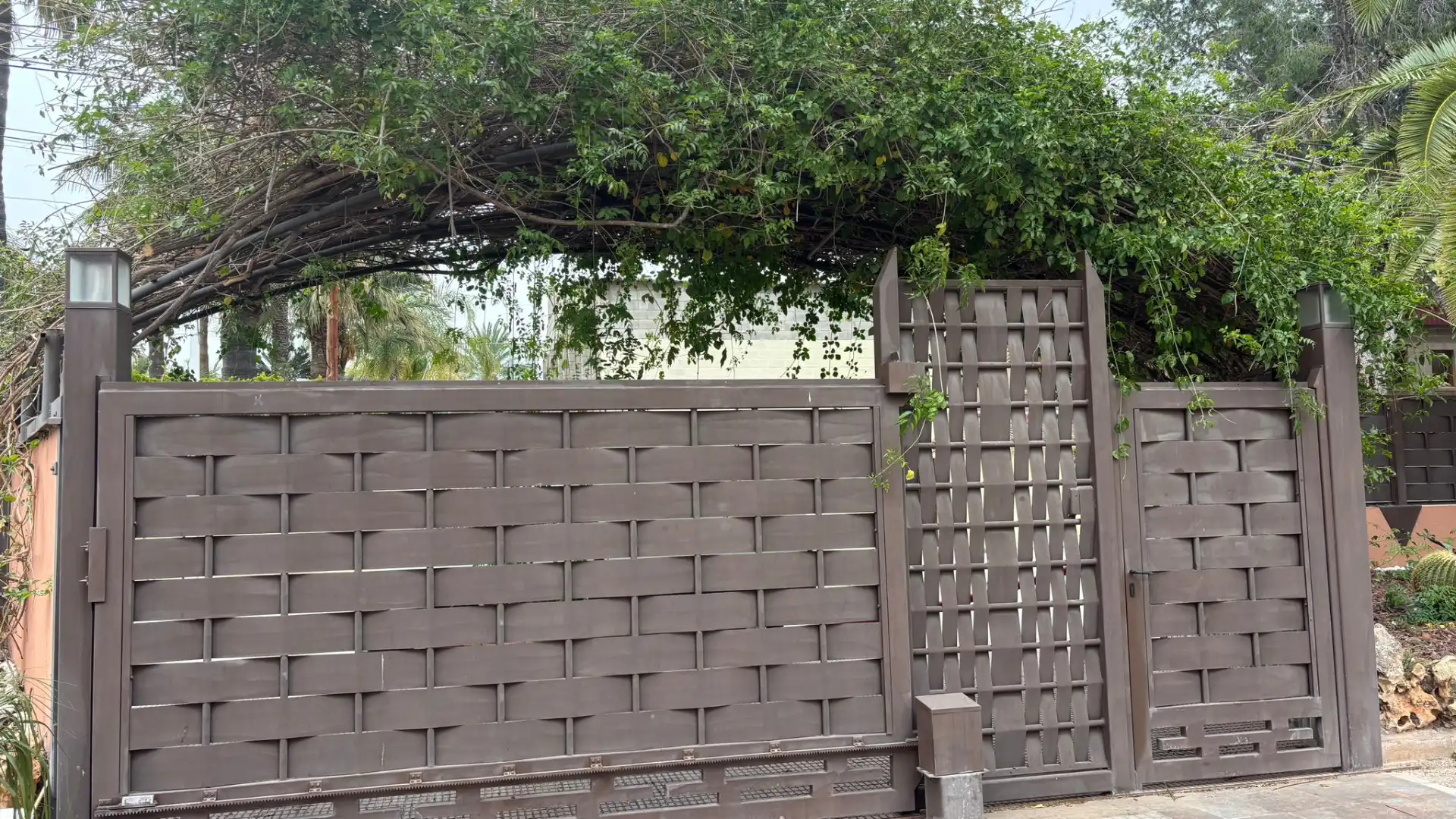 Jardí de Casa o xalet en venda en Elche / Elx amb Jardí privat, Terrassa i Piscina