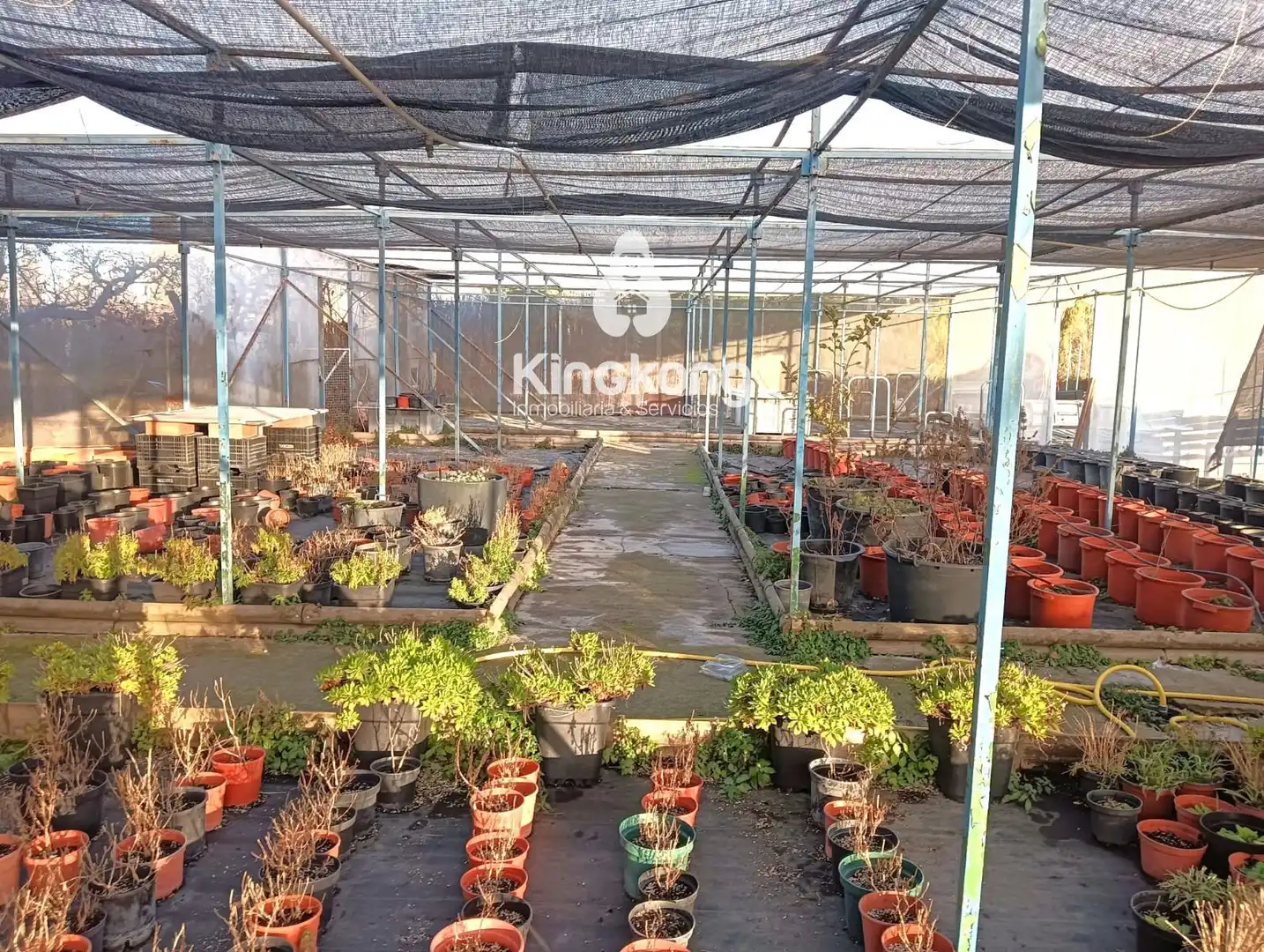 Garten von Grundstücke zur Miete in Arganda del Rey