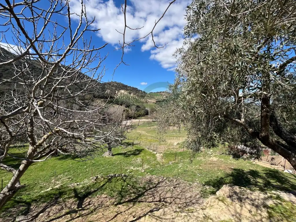 Finca rústica en venda en Ronda