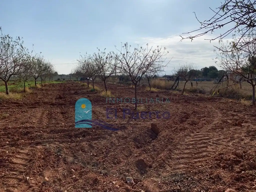 Terreno rústico en venta en Pedanías Oeste, imagen 5