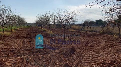 Foto 5 de Terreny en venda a La Magdalena - Molinos Marfagones, Murcia