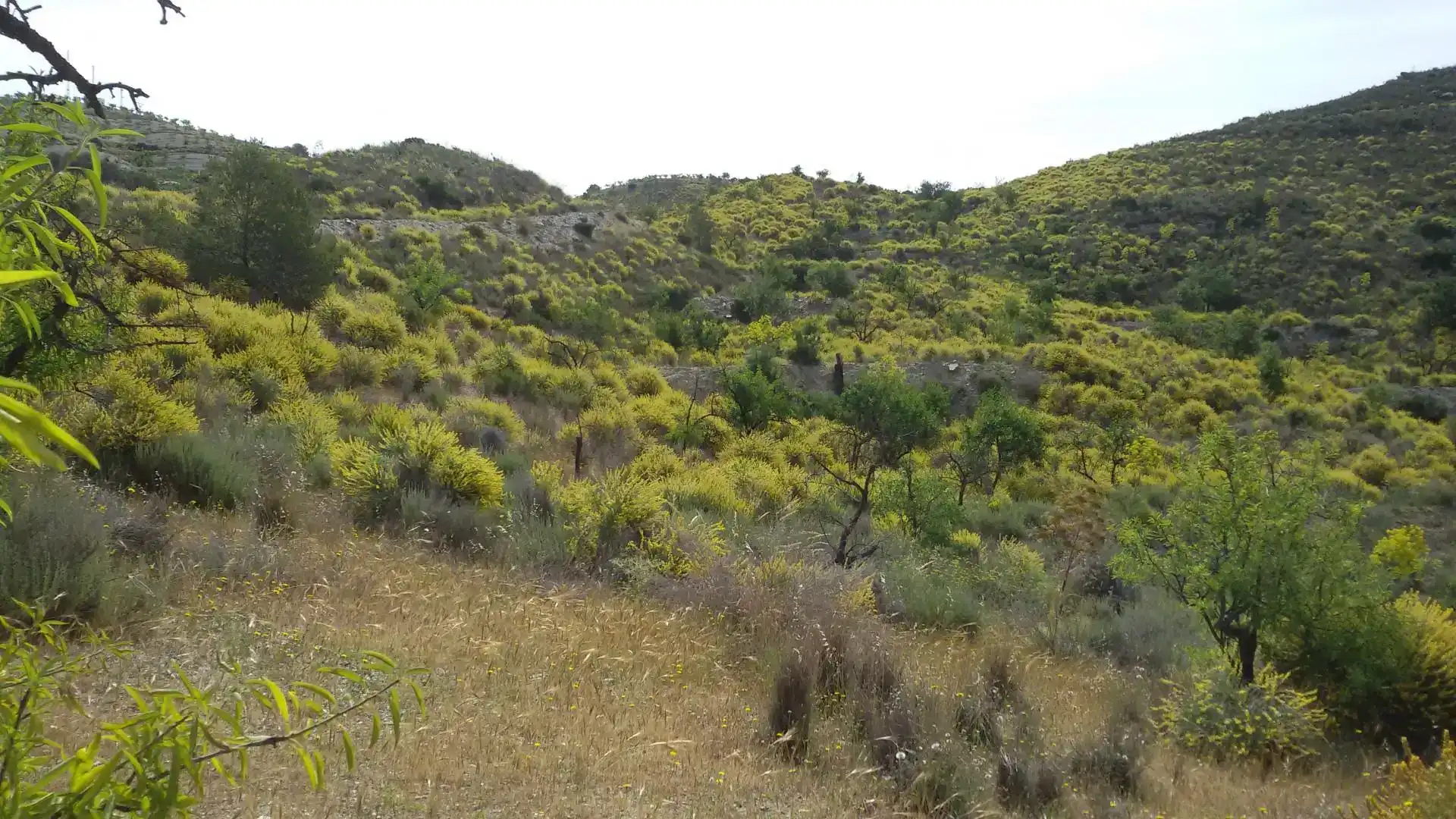 Residencial en venta en Lorca
