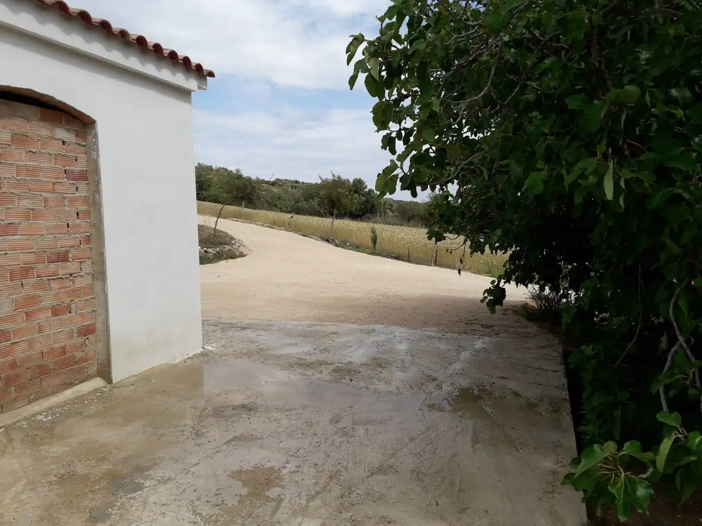 House for sale in Bornos, imagen 8
