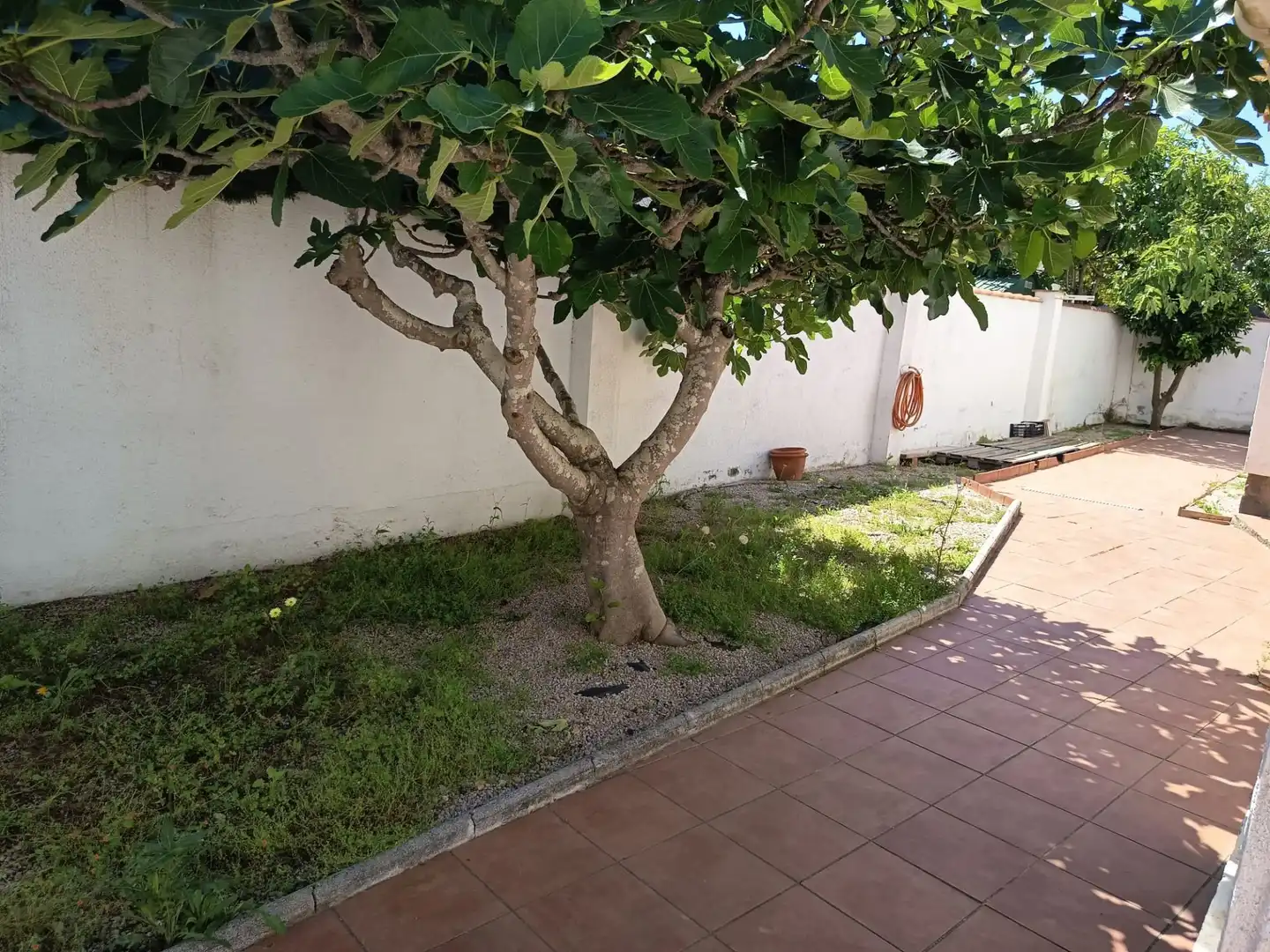 Jardí de Casa o xalet en venda en Empuriabrava