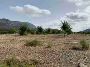 Terreny en venda en Vélez-Rubio