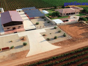 Rural land for sale in Tomelloso