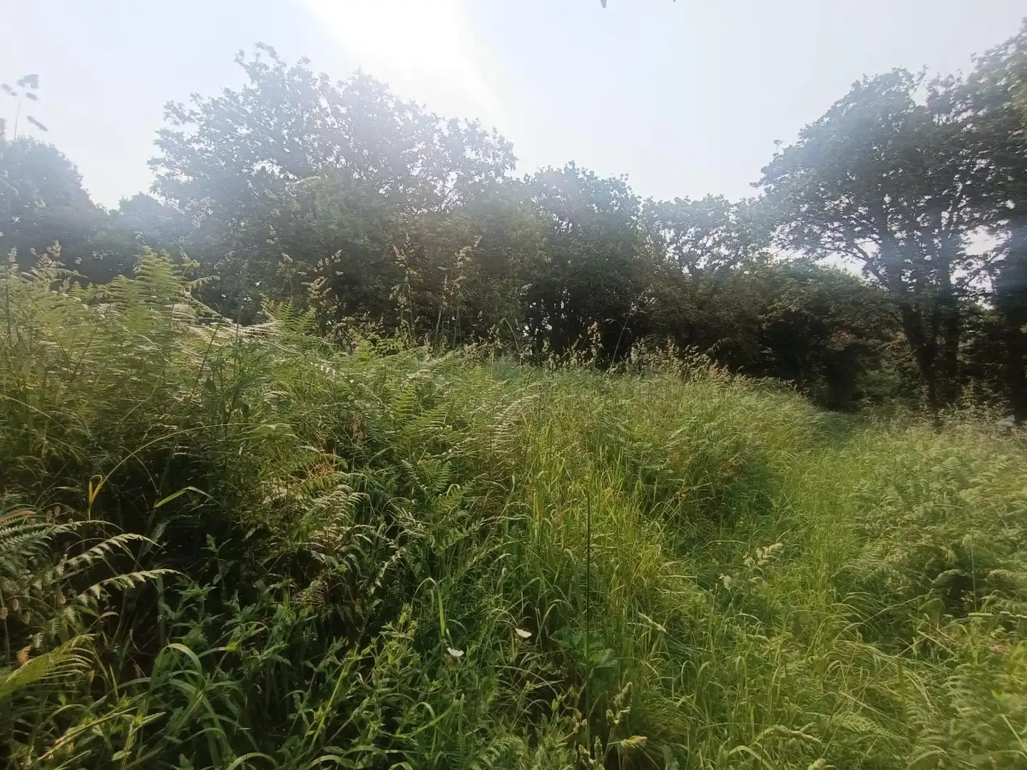 Rural land for sale in Camino SAN XURXO-SAIANS 20, imagen 21