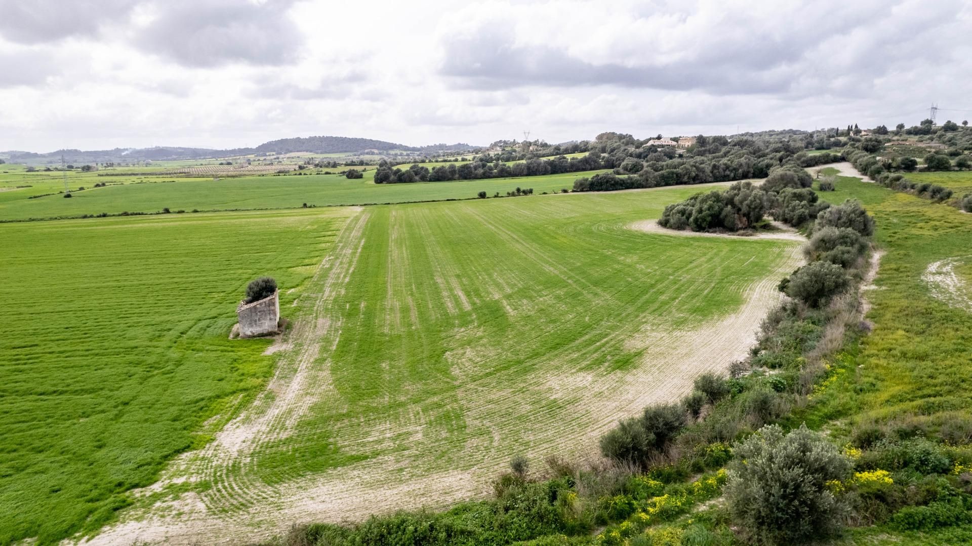 Residencial en venta en Polígono Poligono 5 parcela 92, Maria de la Salut