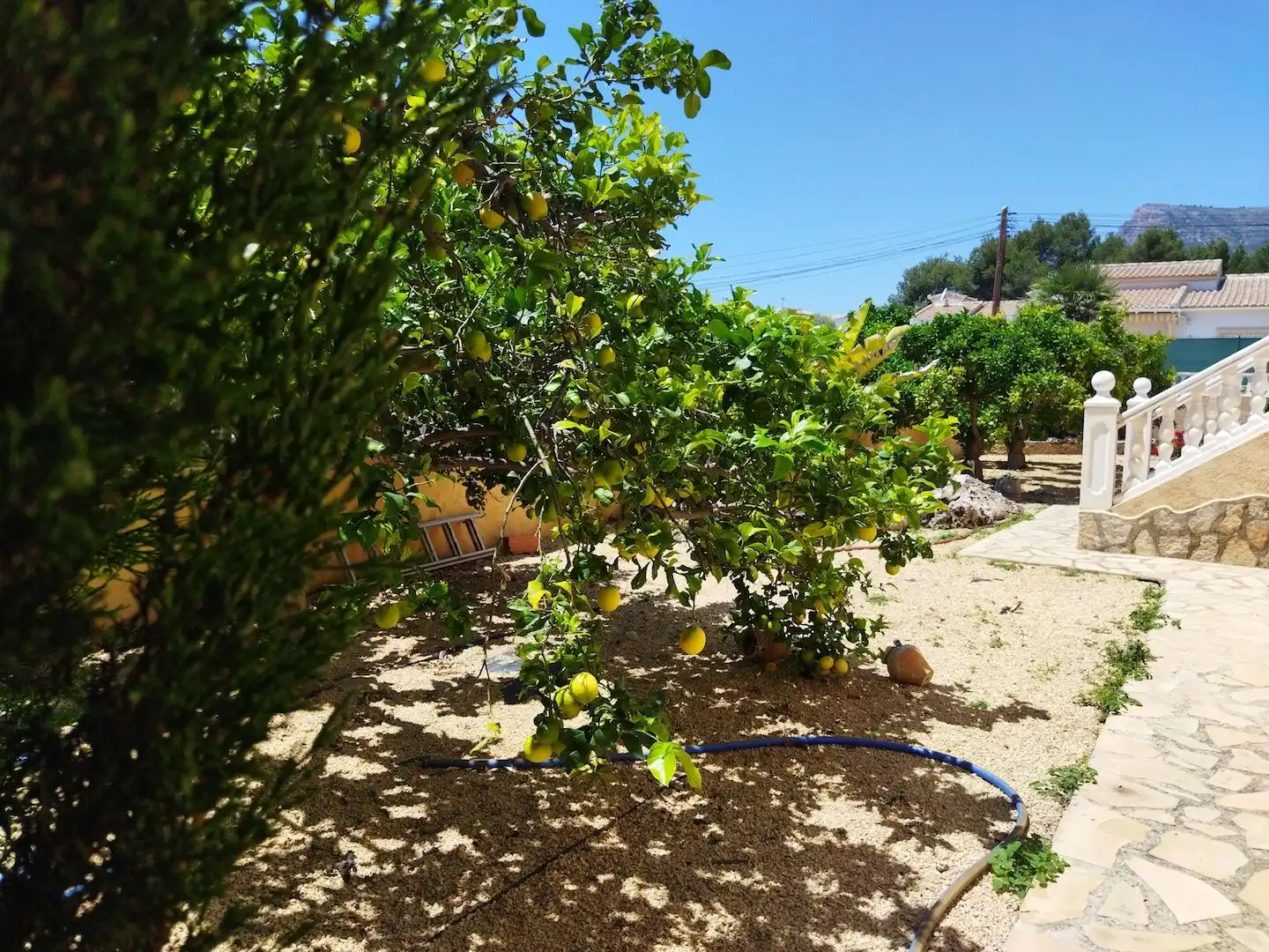 Maison avec jardin à vendre à Canuta, imagen 12