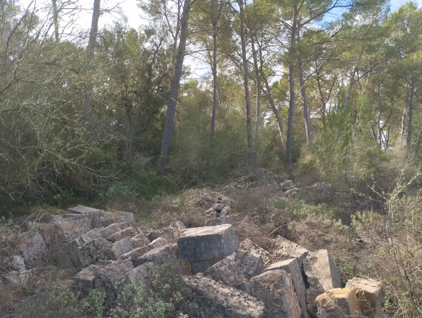 Terreno rustico in vendita a Algaida, imagen 3
