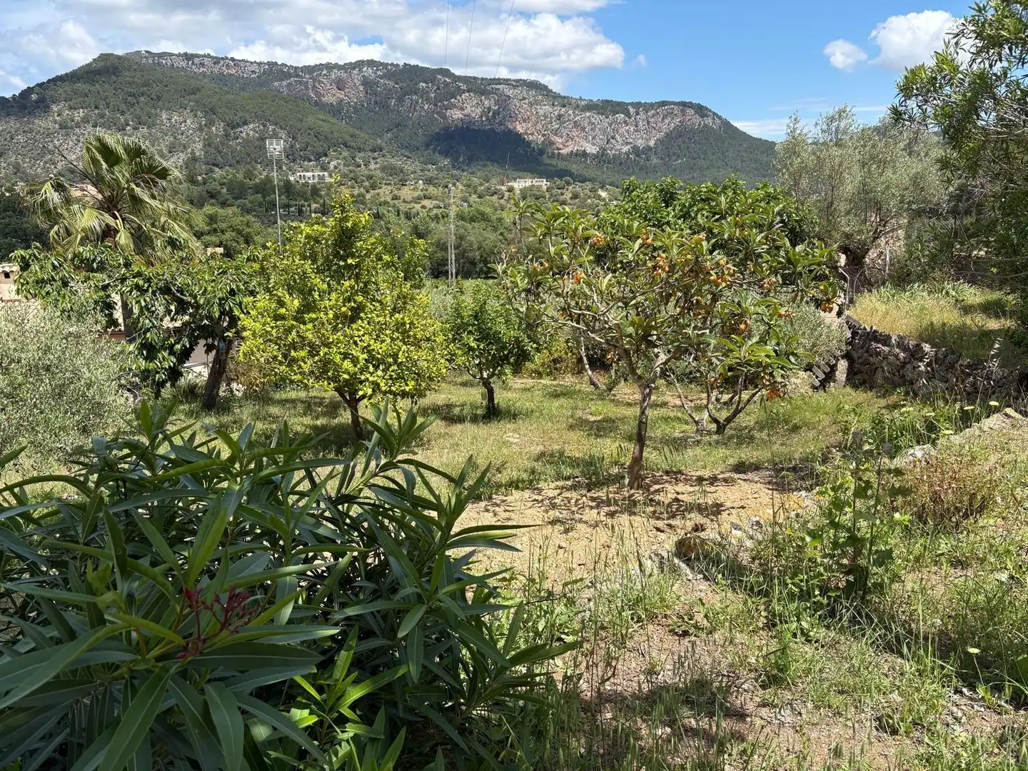 Terreny residencial en venda a Puigpunyent, imagen 7