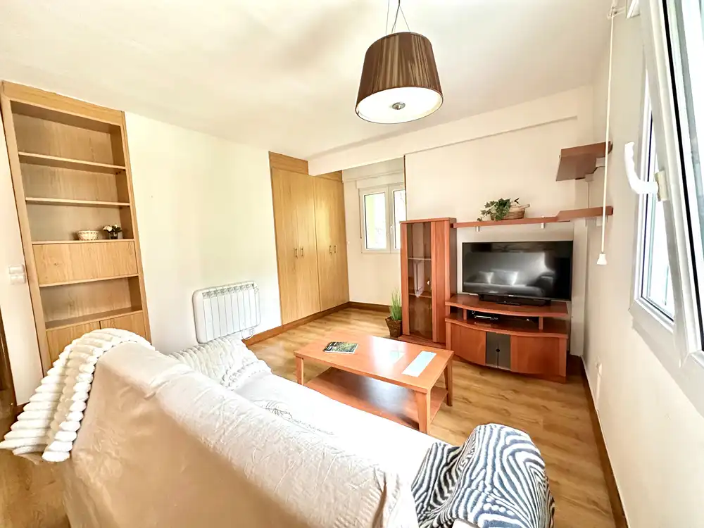 Sala d'estar de Pis en venda en Donostia - San Sebastián  amb Calefacció, Moblat i Balcó