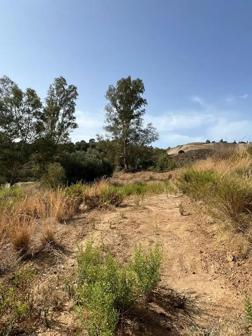 Terreno residencial en venta en La Cala Golf - Lagar Martell, imagen 16