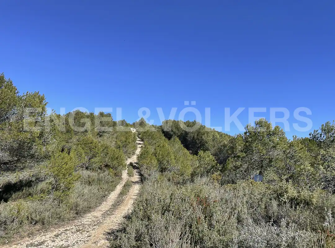 Country homes for sale in El Montmell  with Heating