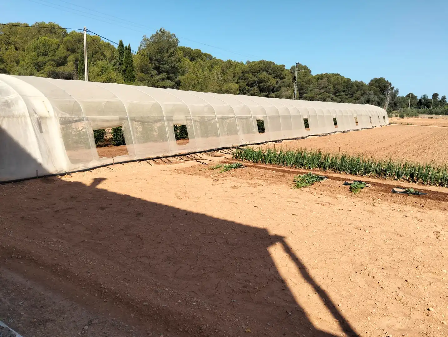 Villa avec piscine à vendre à Vilamarxant, imagen 32