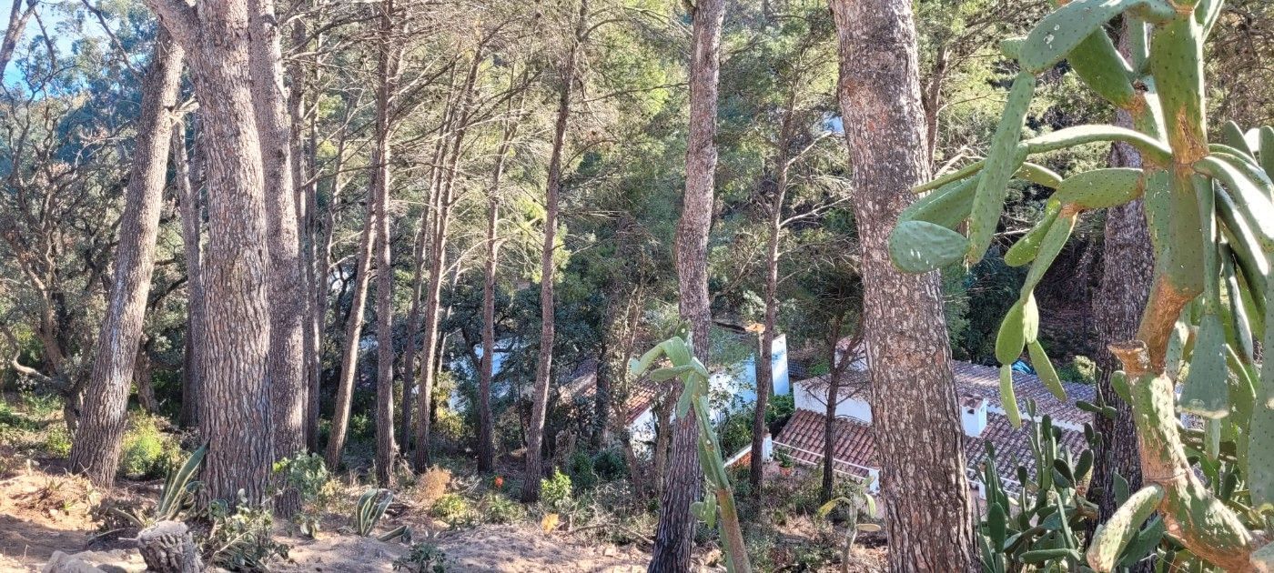 Exterior view of Residential for sale in Santa Cristina d'Aro