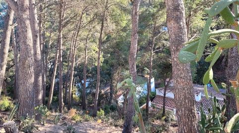 Foto 4 de Residencial en venta en Rosamar, Santa Cristina d'Aro