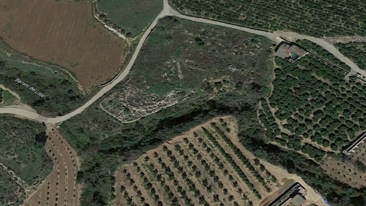 Rural land for sale in Lg Polígono 7, Parcela 75, El Pinar Carcer, imagen 3