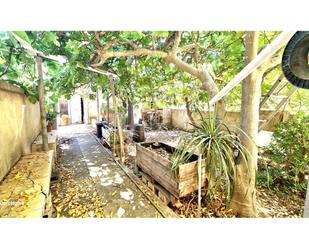 House or chalet for sale in Sa Cabana - Can Carbonell - Ses Cases Noves
