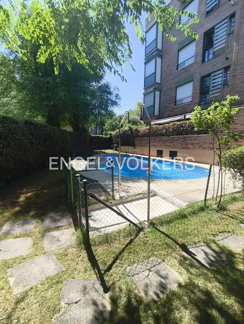 Piscina de Pis de lloguer en Madrid amb Aire condicionat, Calefacció i Jardí privat