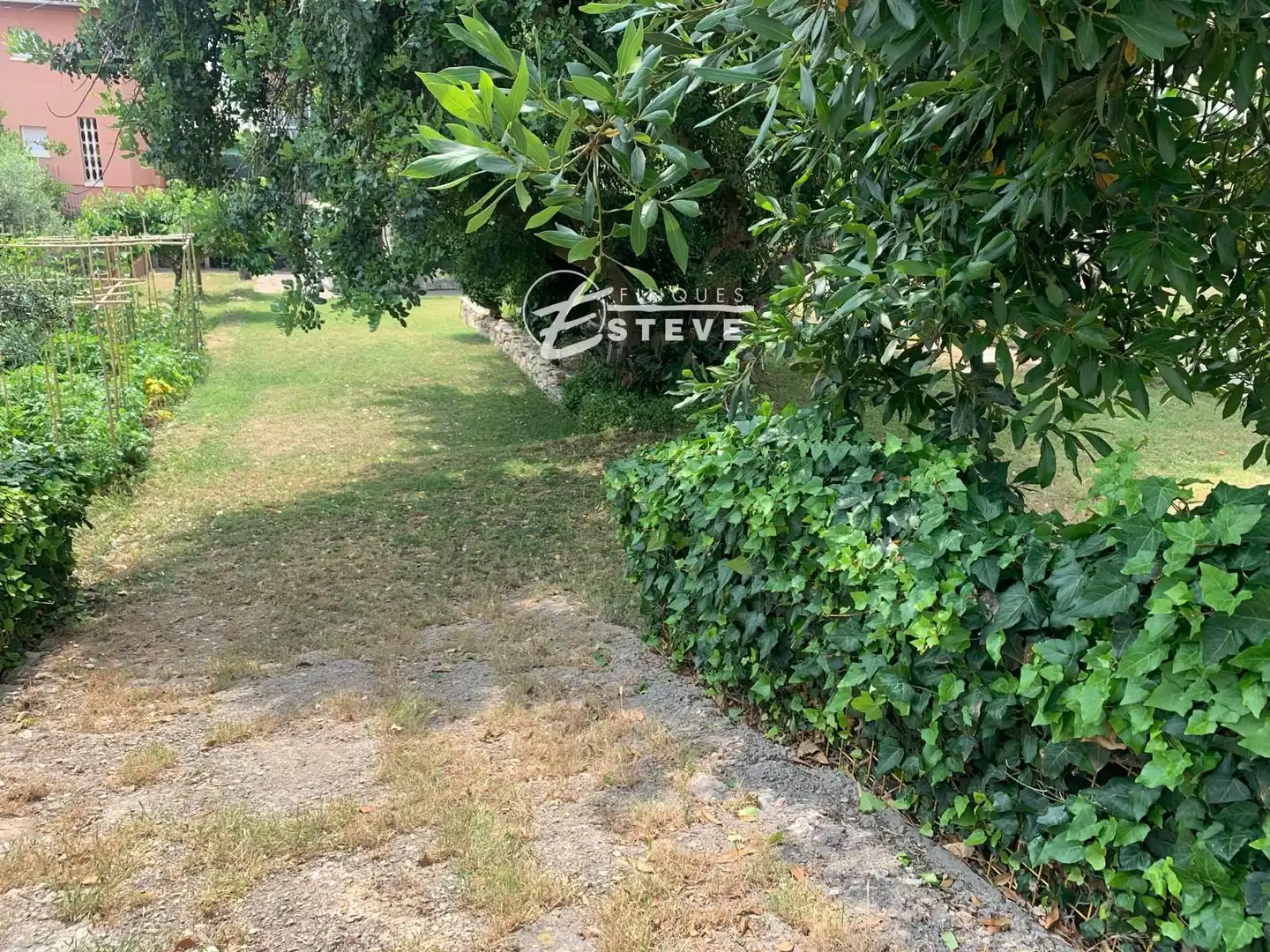 Rural land for sale in França