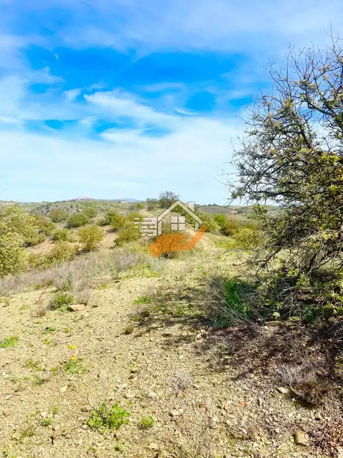 Casa rústica en venta en Vélez-Rubio, imagen 49